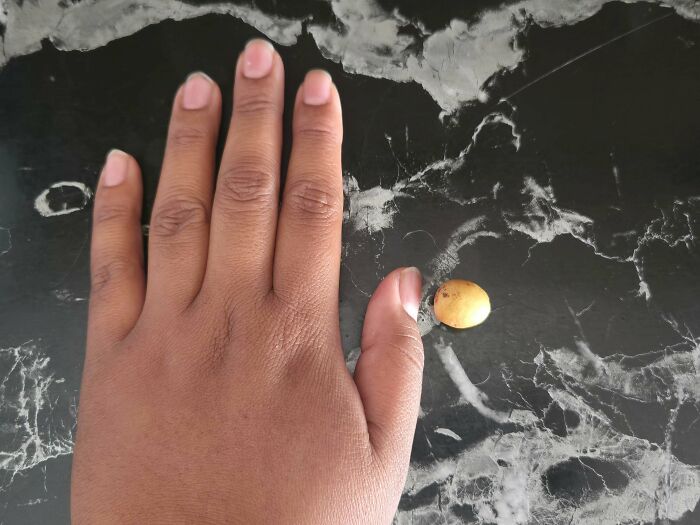 “What Is This, A Tomato For Ants?”: 114 Times Mother Nature Decided To Play A Joke On Gardeners (New Pics)