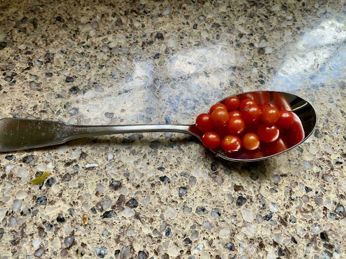 “What Is This, A Tomato For Ants?”: 114 Times Mother Nature Decided To Play A Joke On Gardeners (New Pics)