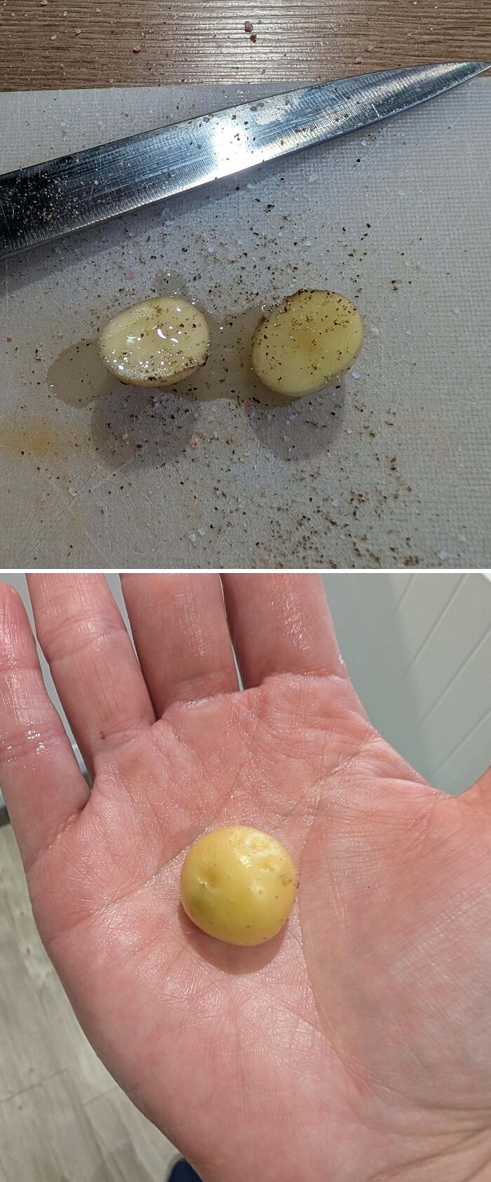 “What Is This, A Tomato For Ants?”: 114 Times Mother Nature Decided To Play A Joke On Gardeners (New Pics)