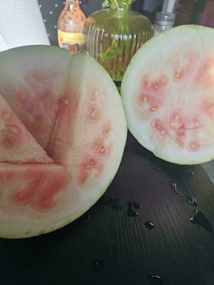 “What Is This, A Tomato For Ants?”: 114 Times Mother Nature Decided To Play A Joke On Gardeners (New Pics)