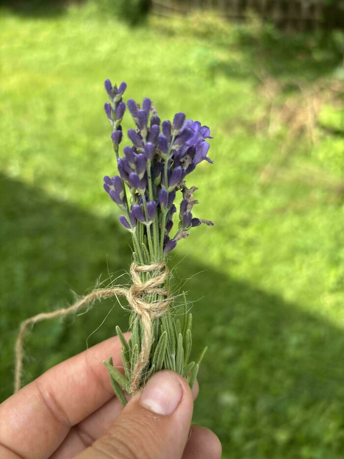 “What Is This, A Tomato For Ants?”: 114 Times Mother Nature Decided To Play A Joke On Gardeners (New Pics)