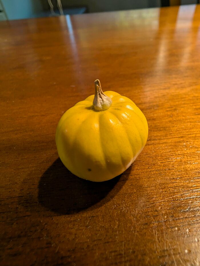 “What Is This, A Tomato For Ants?”: 114 Times Mother Nature Decided To Play A Joke On Gardeners (New Pics)