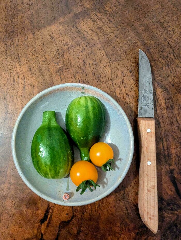 “What Is This, A Tomato For Ants?”: 114 Times Mother Nature Decided To Play A Joke On Gardeners (New Pics)