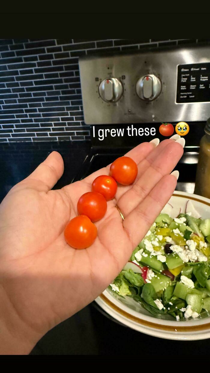 “What Is This, A Tomato For Ants?”: 114 Times Mother Nature Decided To Play A Joke On Gardeners (New Pics)