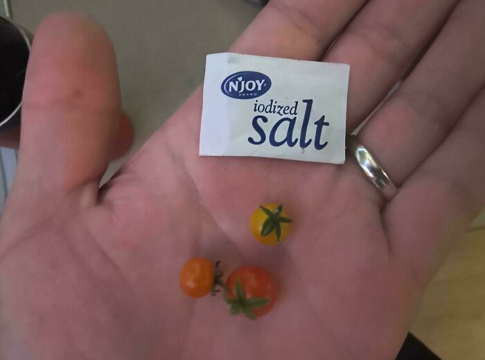 “What Is This, A Tomato For Ants?”: 114 Times Mother Nature Decided To Play A Joke On Gardeners (New Pics)