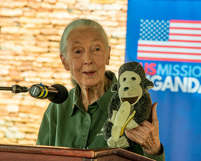 Jane Goodall, Legendary Chimpanzee Expert And Animal Advocate, Passes Away At 91