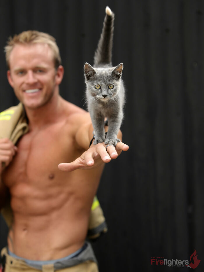 The Australian Firefighters Calendar: 50 Times Firefighters Melted Hearts With Kittens