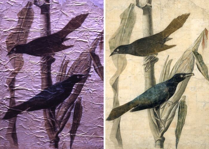 16 Striking Before-And-After Photos Of Restored Historical Paintings