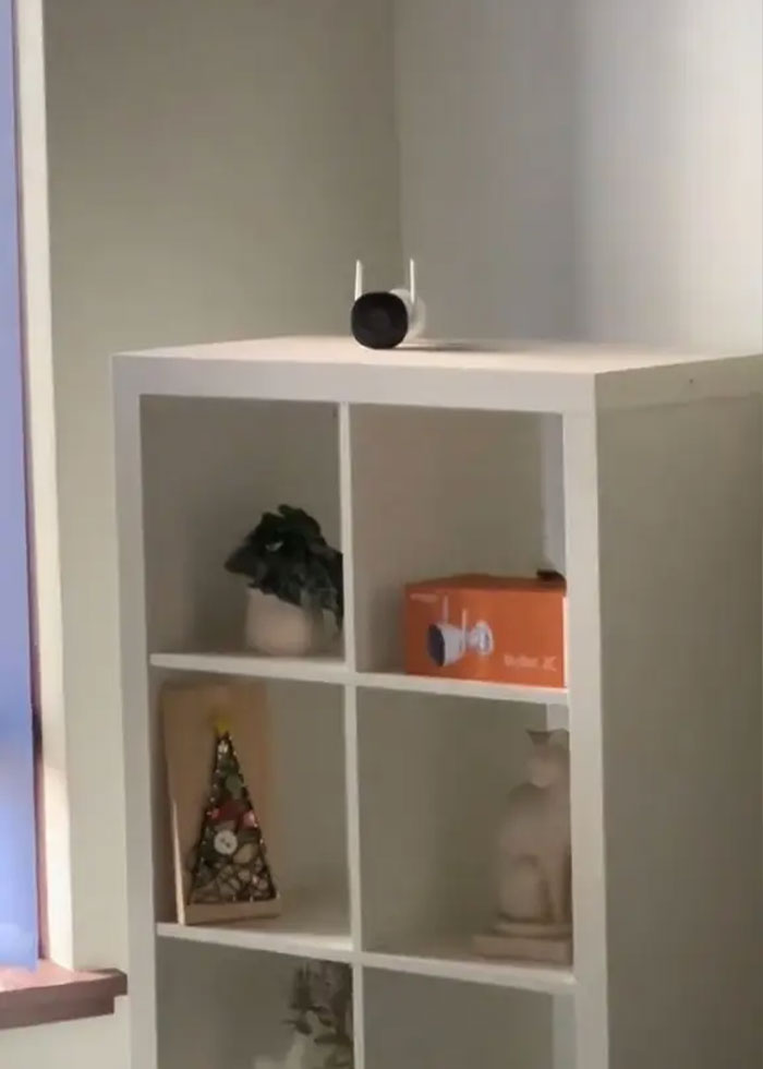 Family Rushes Out Of Rental House After Making Disturbing Discovery