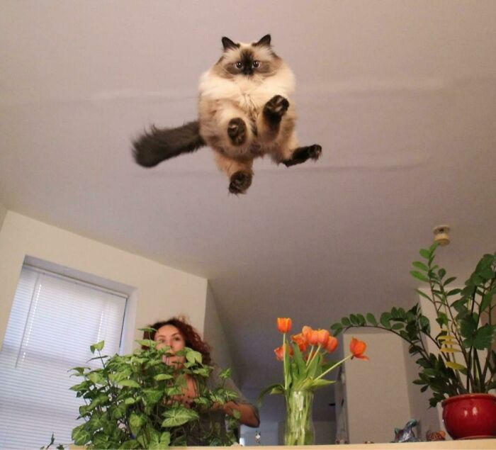 “The Moment The Rope Broke”: 73 Perfect Pictures Taken Split Seconds Before Disaster Struck