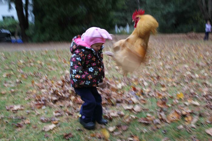 “The Moment The Rope Broke”: 73 Perfect Pictures Taken Split Seconds Before Disaster Struck