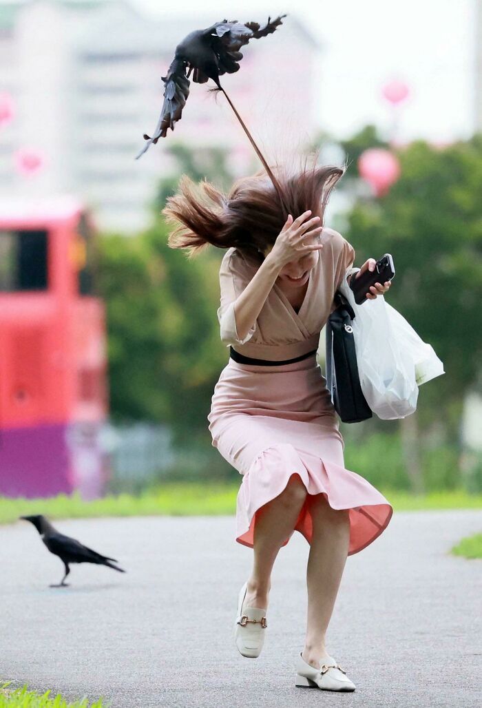 “The Moment The Rope Broke”: 73 Perfect Pictures Taken Split Seconds Before Disaster Struck