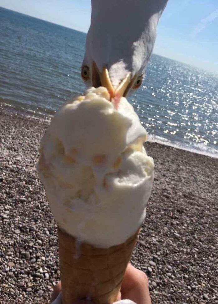 “The Moment The Rope Broke”: 73 Perfect Pictures Taken Split Seconds Before Disaster Struck