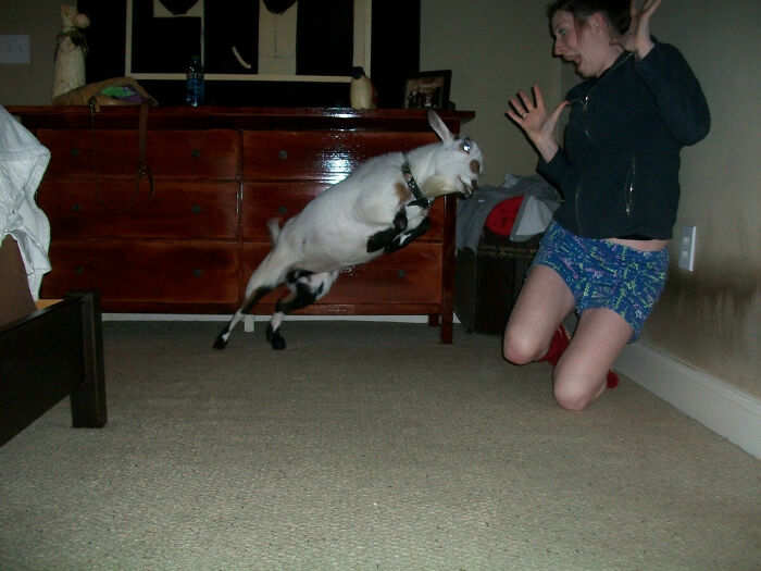 “The Moment The Rope Broke”: 73 Perfect Pictures Taken Split Seconds Before Disaster Struck