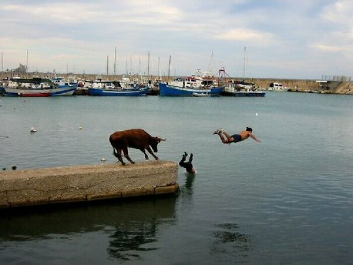 “The Moment The Rope Broke”: 73 Perfect Pictures Taken Split Seconds Before Disaster Struck