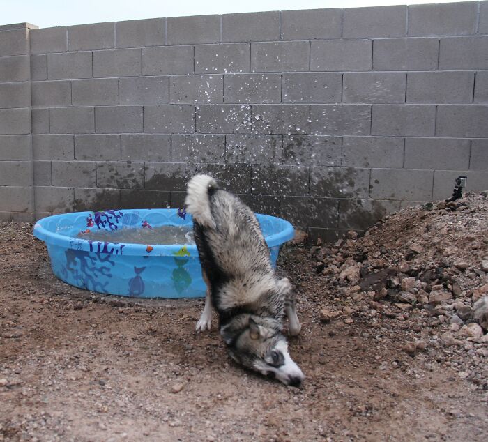 “The Moment The Rope Broke”: 73 Perfect Pictures Taken Split Seconds Before Disaster Struck