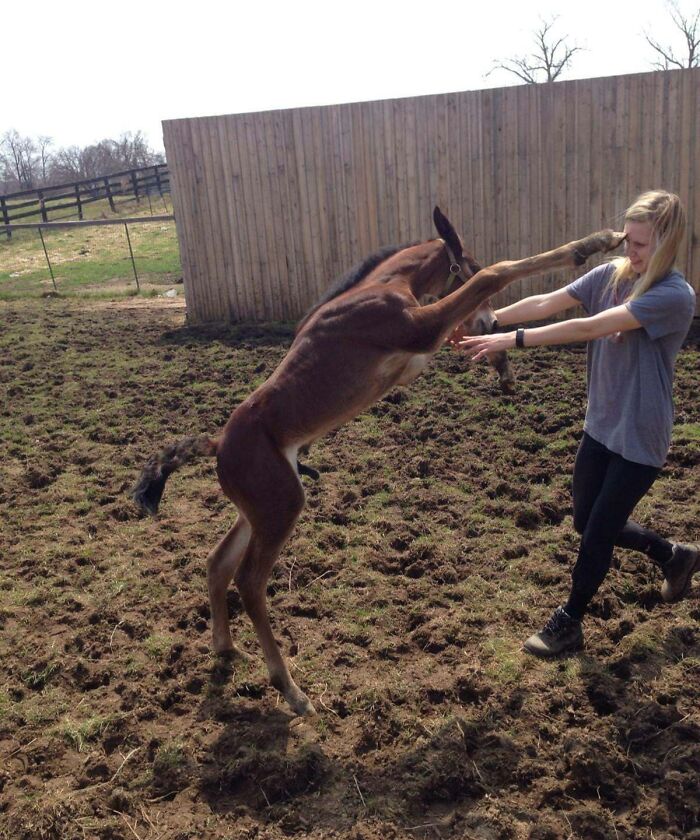 “The Moment The Rope Broke”: 73 Perfect Pictures Taken Split Seconds Before Disaster Struck