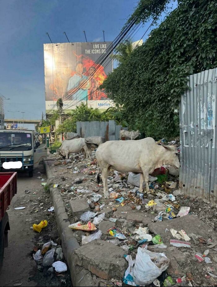 100 Pictures Of ‘Urban Hell’ Showing Everything That’s Wrong With Our Society (New Pics)