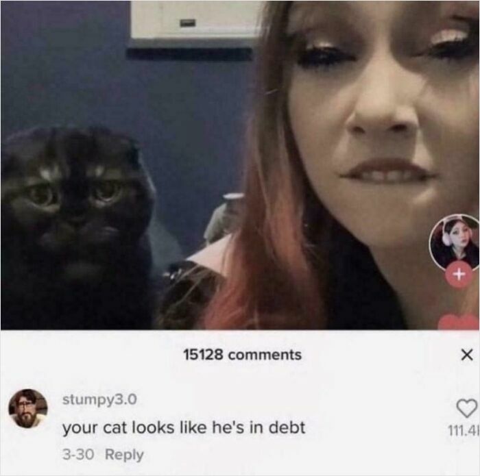 62 Times Comments Were Better Than The Post