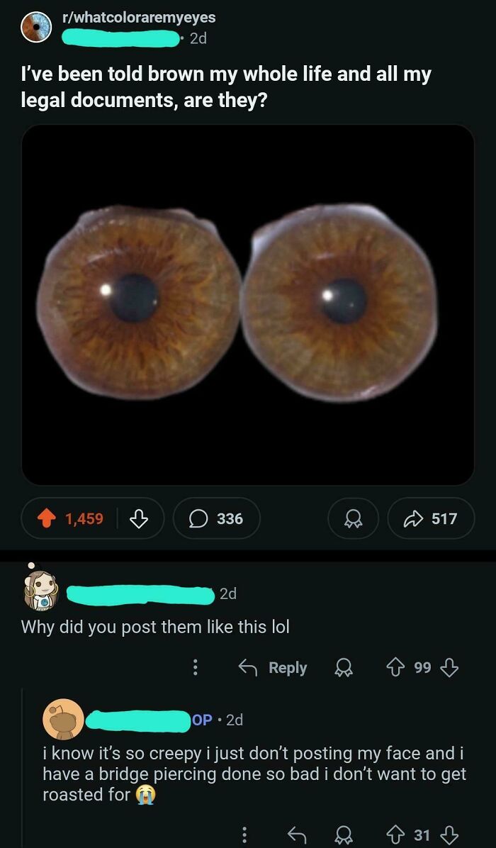 62 Times Comments Were Better Than The Post