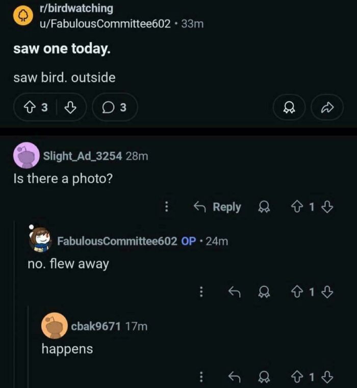 62 Times Comments Were Better Than The Post