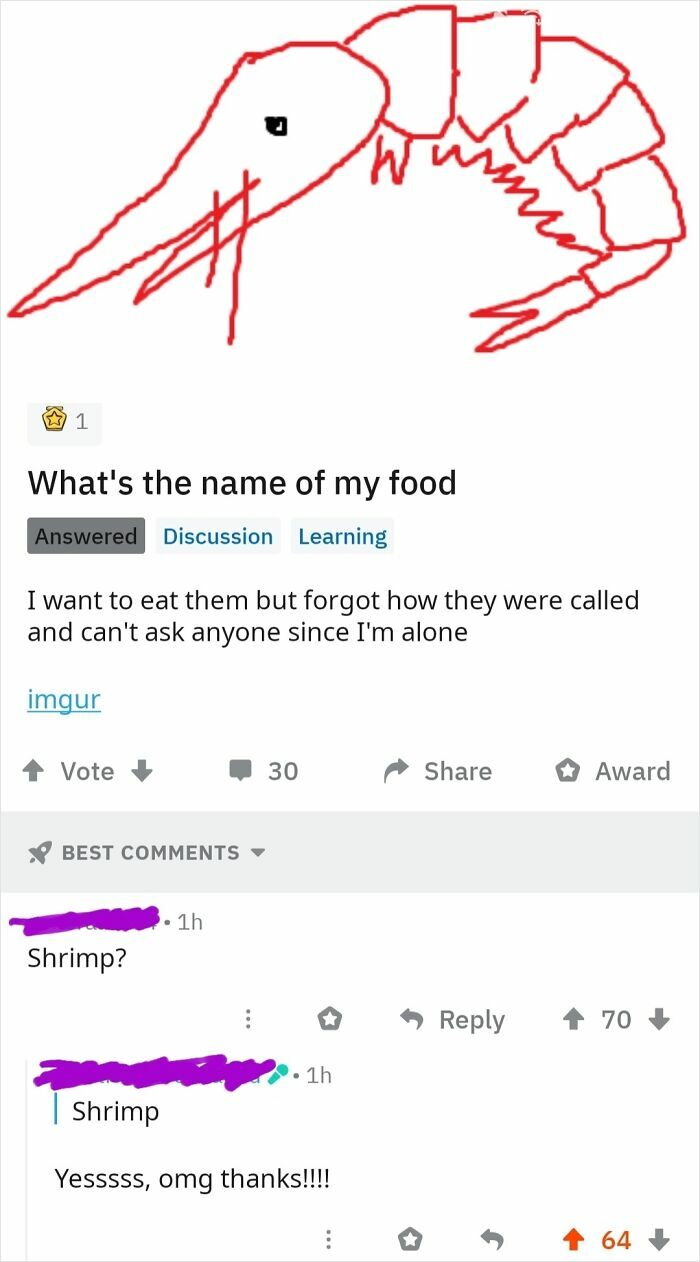 62 Times Comments Were Better Than The Post