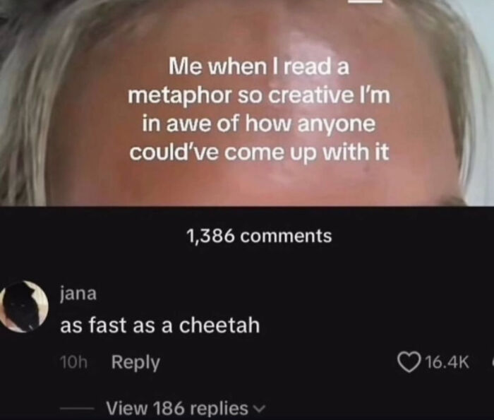 62 Times Comments Were Better Than The Post