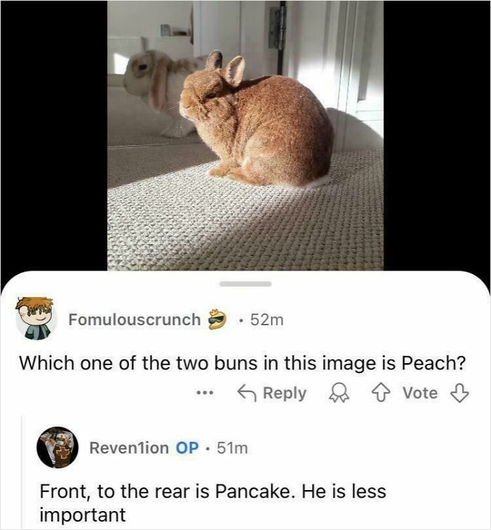 62 Times Comments Were Better Than The Post