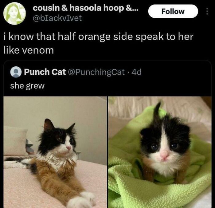 62 Times Comments Were Better Than The Post