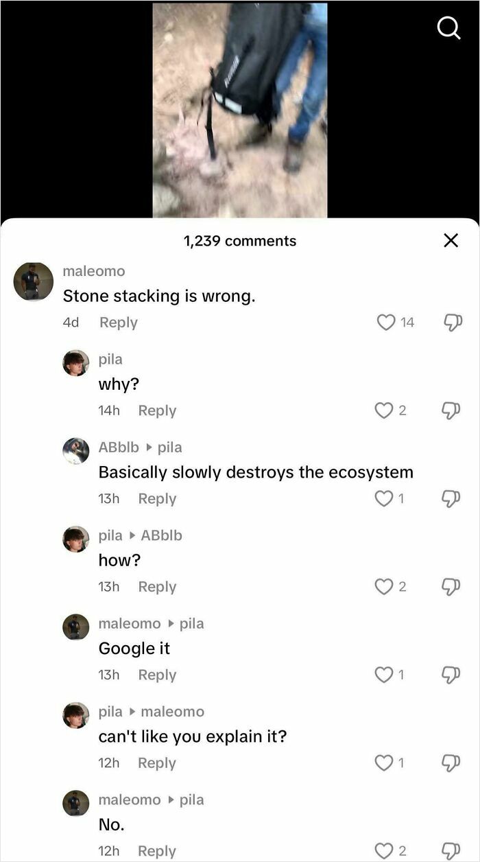 62 Times Comments Were Better Than The Post