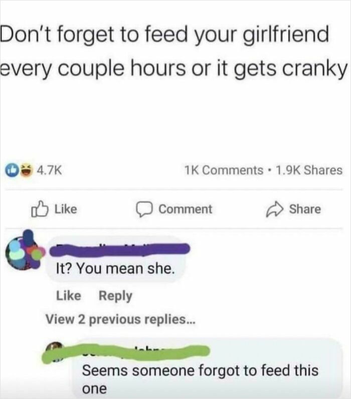 62 Times Comments Were Better Than The Post