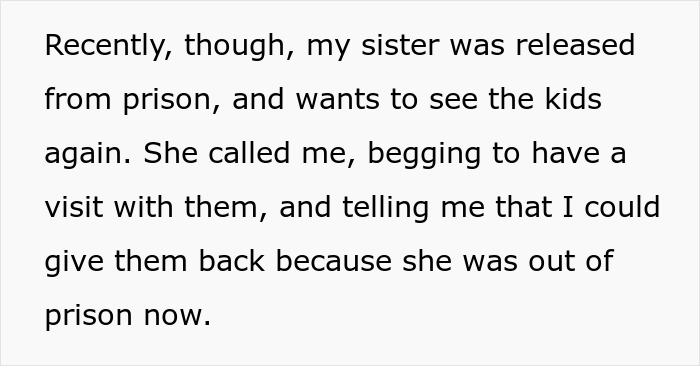 Mom Abandons Kids For A 1-Week Bender, Furious When Kids Choose Her Sister Instead Of Her