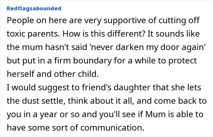 Lady Cuts Contact With Toxic Daughter, Friend Feels Bad For Her And Wonders If She Should Intervene