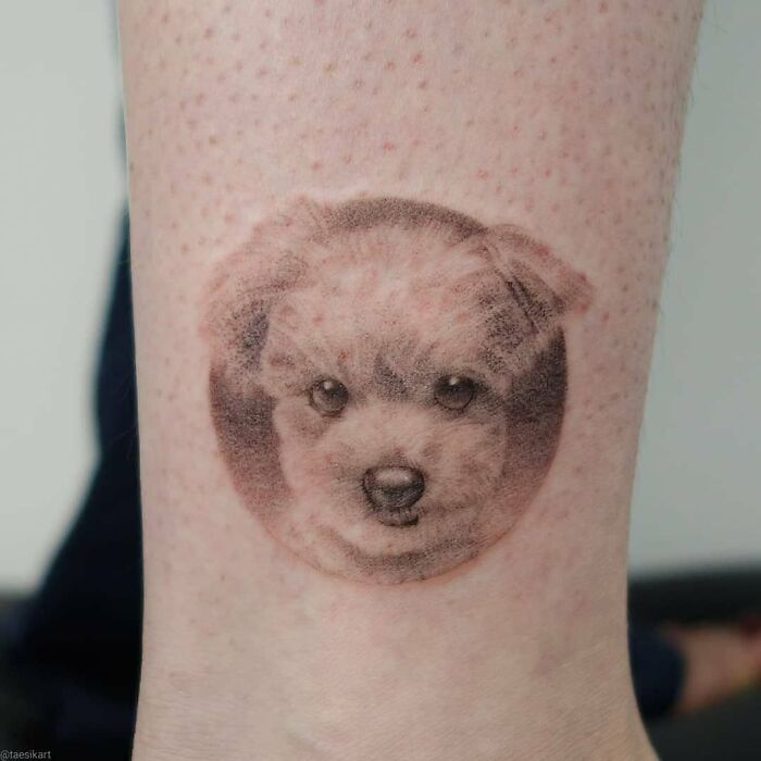 This South Korean Tattoo Artist Creates Incredibly Realistic Pet Portraits (17 Pics)