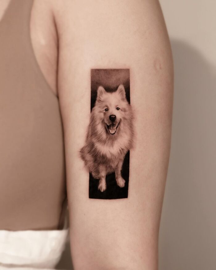 This South Korean Tattoo Artist Creates Incredibly Realistic Pet Portraits (17 Pics)