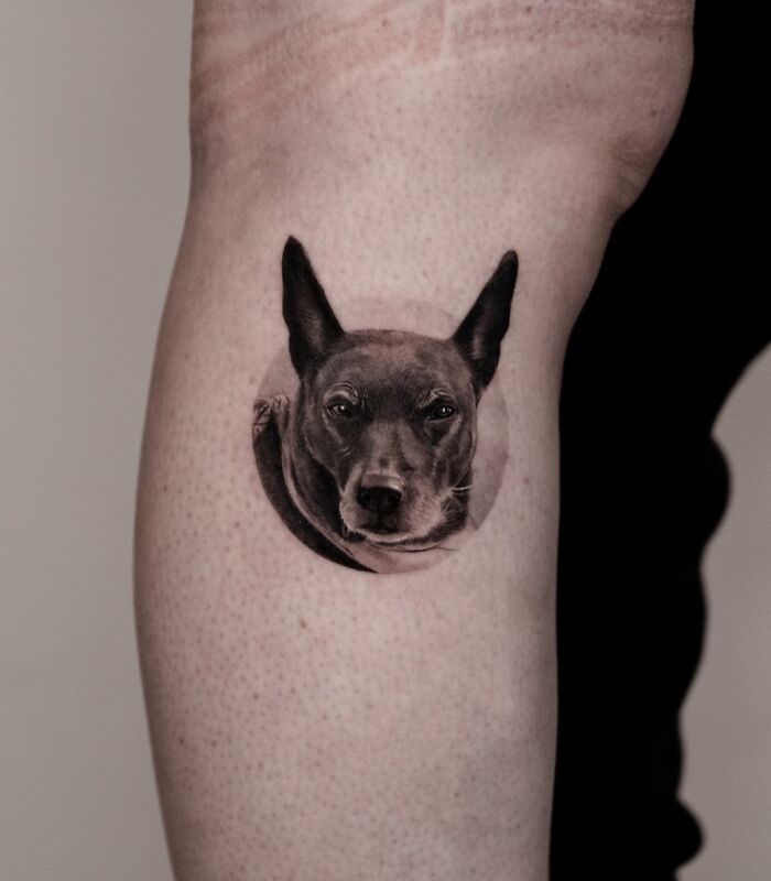 This South Korean Tattoo Artist Creates Incredibly Realistic Pet Portraits (17 Pics)