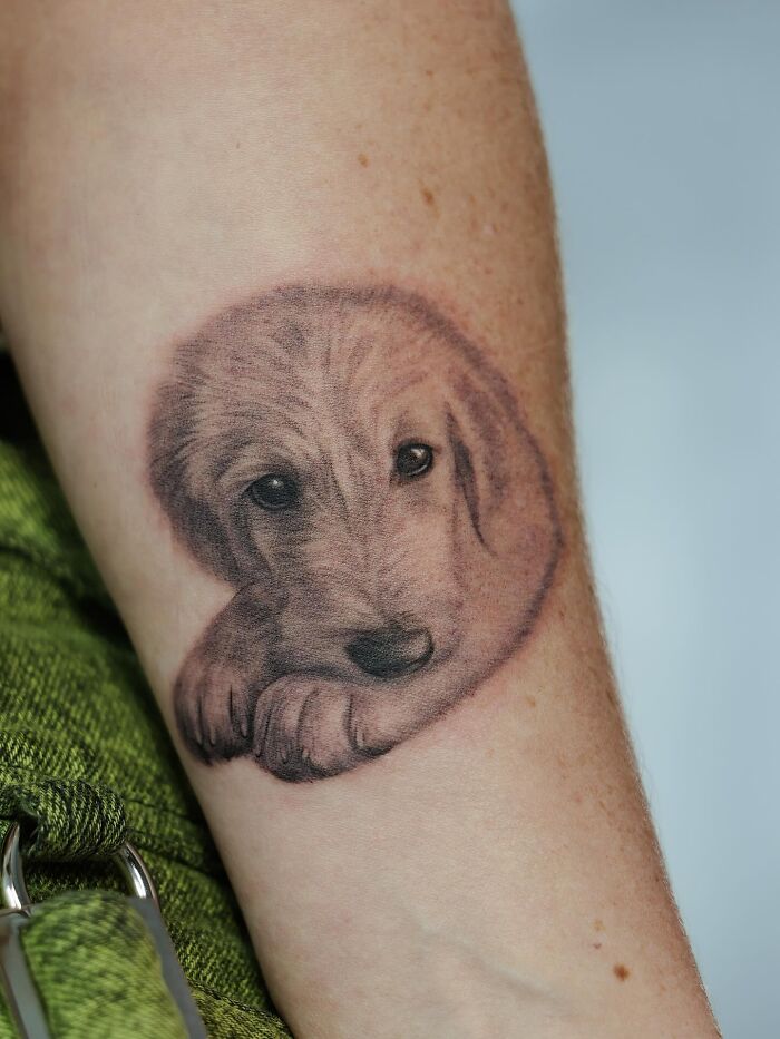 This South Korean Tattoo Artist Creates Incredibly Realistic Pet Portraits (17 Pics)