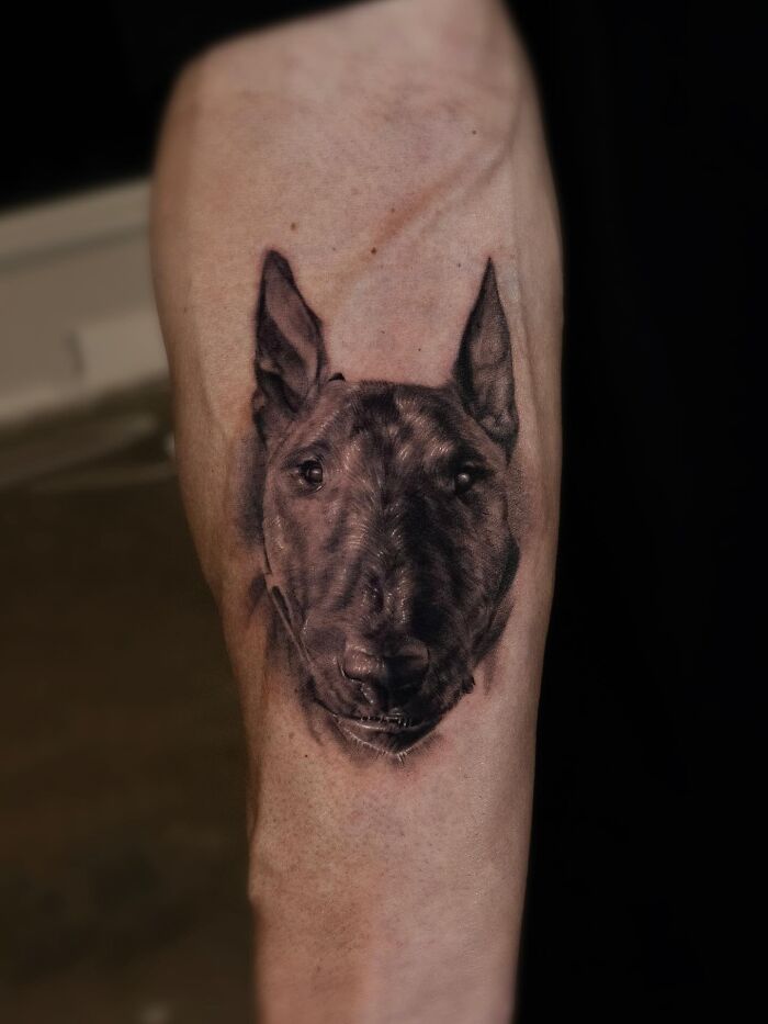 This South Korean Tattoo Artist Creates Incredibly Realistic Pet Portraits (17 Pics)
