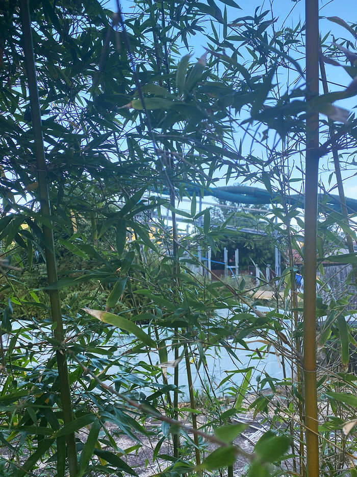 Inside New Zealand&#8217;s Abandoned Waiwera Hot Pools: A Forgotten Water Park Frozen In Time