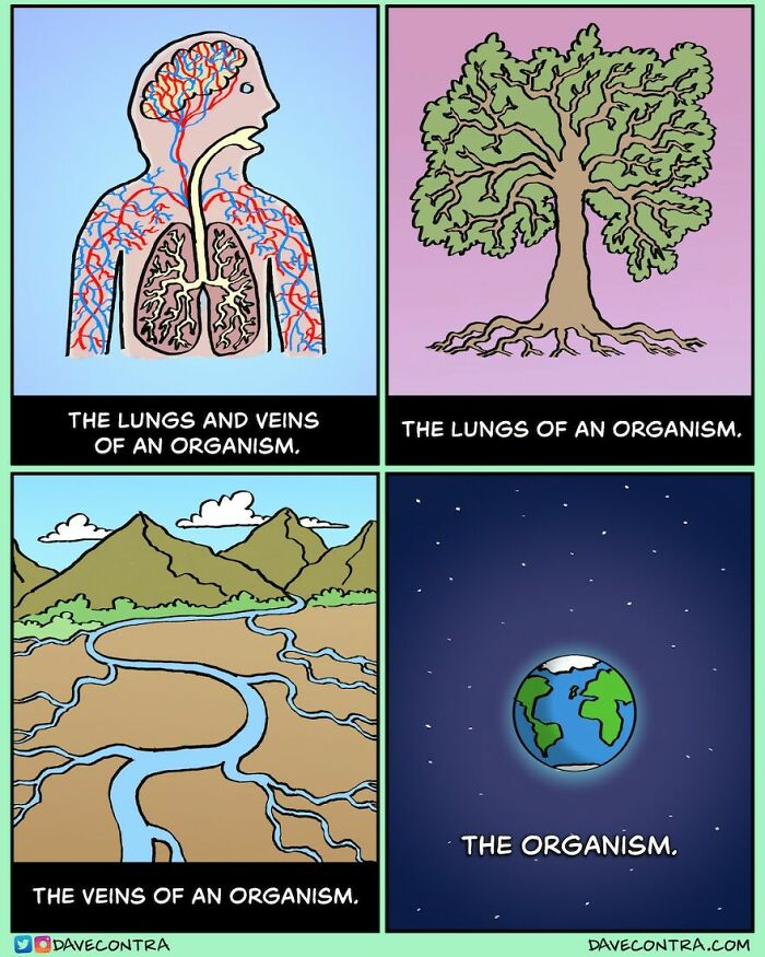 45 Best Twisted Comics By Dave Contra That Fans Of Dark Humor Might Love
