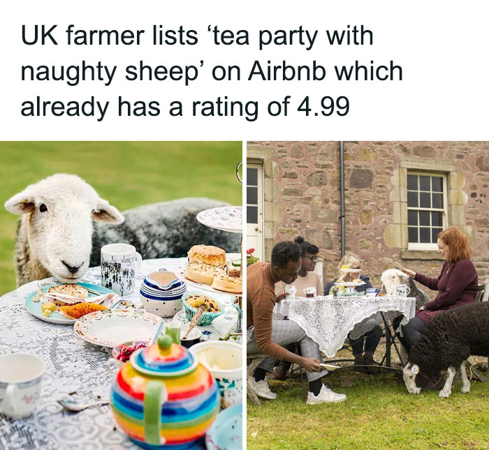80 Things So Ridiculous, You Might Actually Want To Have Them (New Pics)