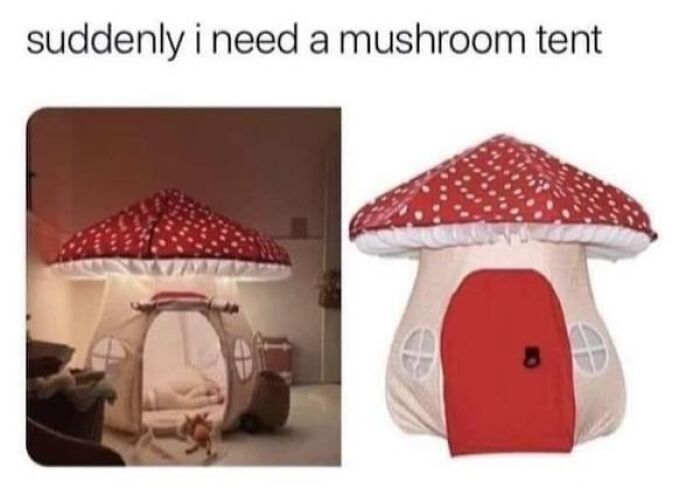 80 Things So Ridiculous, You Might Actually Want To Have Them (New Pics)