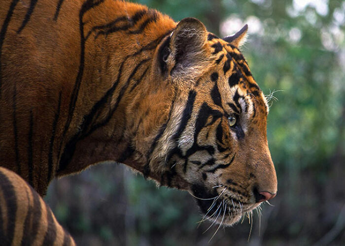 72 People Share Unsettling Animal Facts That Might Surprise You Or Bust A Myth