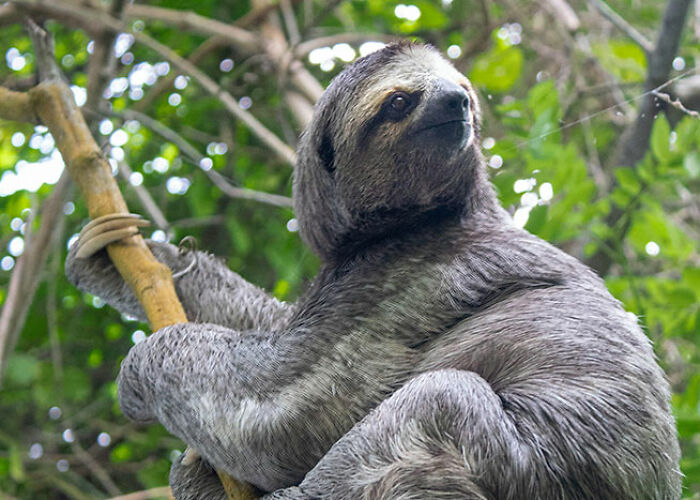72 People Share Unsettling Animal Facts That Might Surprise You Or Bust A Myth