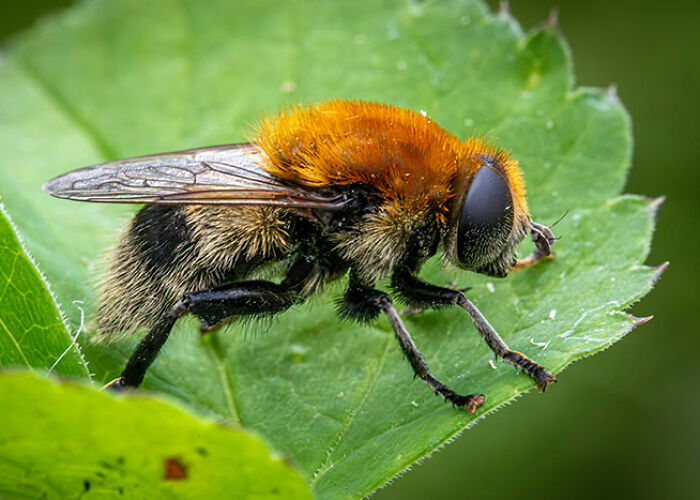 72 People Share Unsettling Animal Facts That Might Surprise You Or Bust A Myth