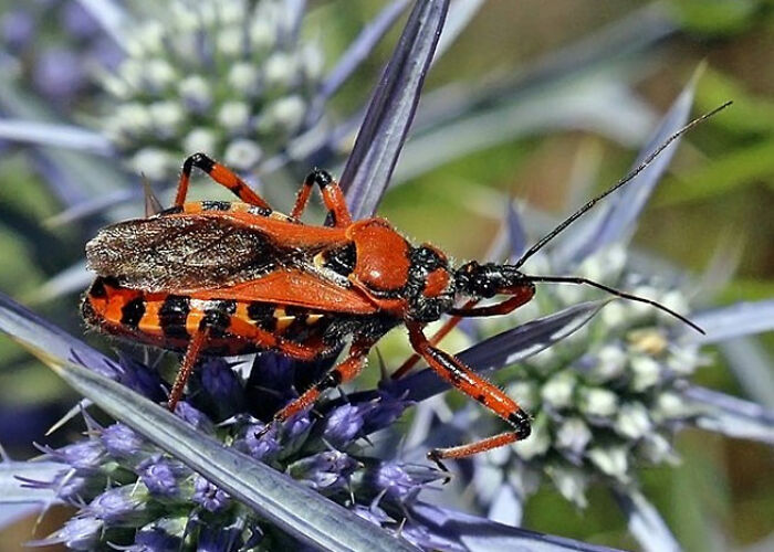 72 People Share Unsettling Animal Facts That Might Surprise You Or Bust A Myth