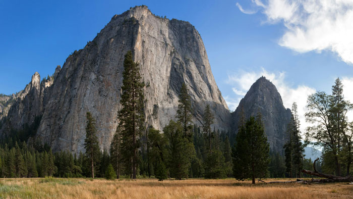Viewers Horrified As Climbing Influencer Fatally Falls On Livestream From Yosemite’s El Capitan