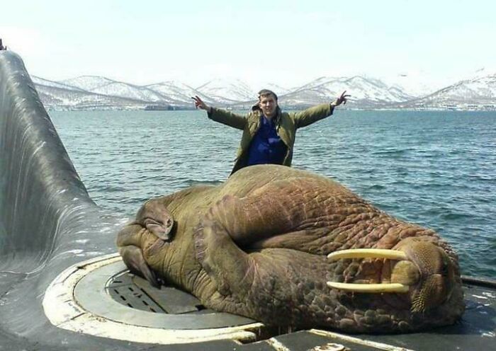 “Triceratops Femur”: 80 Amazing Photos Where Humans Show The True Scale Of Things