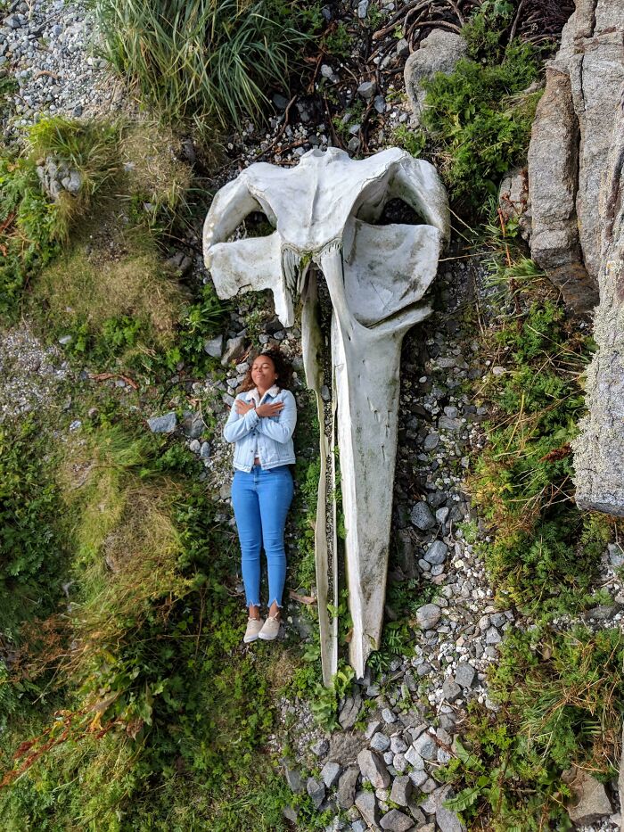 “Triceratops Femur”: 80 Amazing Photos Where Humans Show The True Scale Of Things