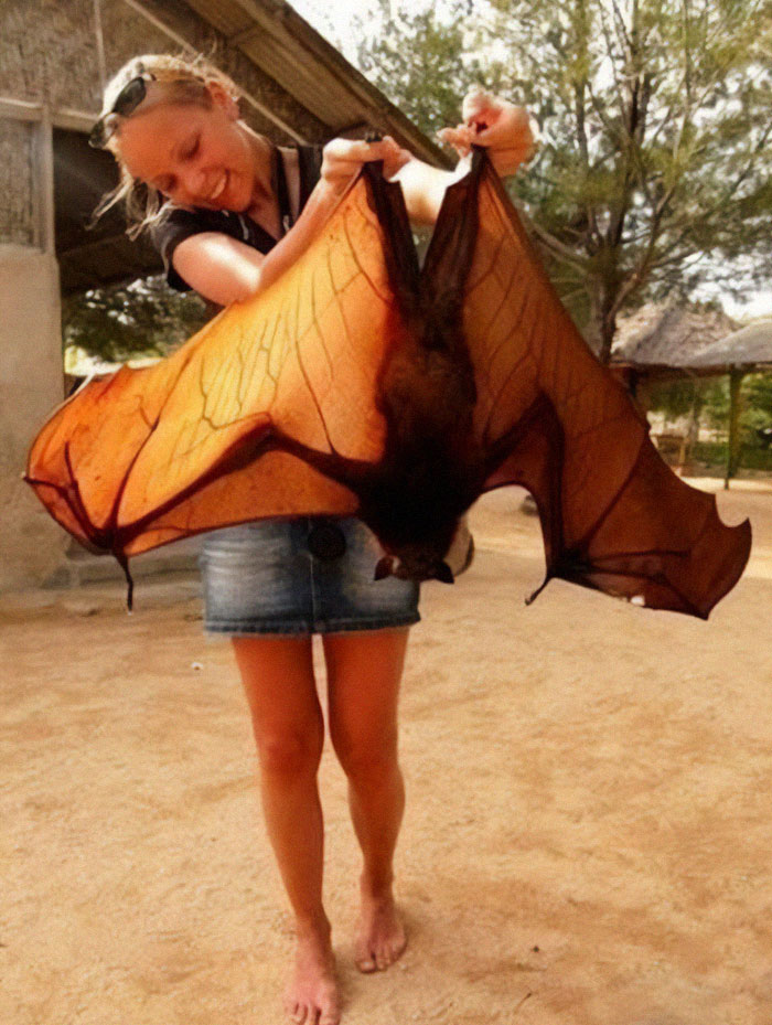 “Triceratops Femur”: 80 Amazing Photos Where Humans Show The True Scale Of Things